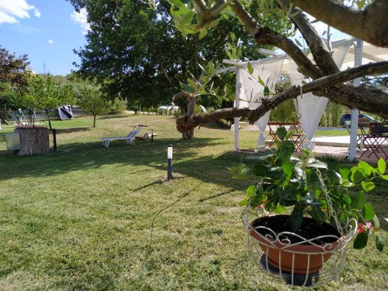 foto42