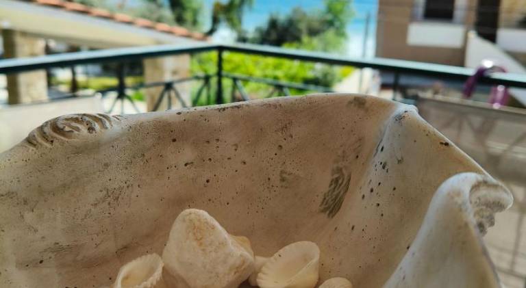Las sirenas maisonnettes by the beach groundfloor and semi basement in Thasos