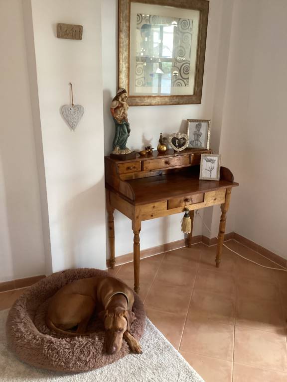 foto7