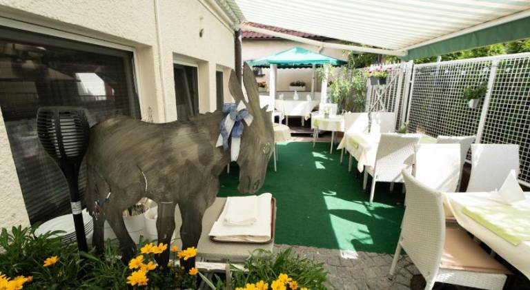 Hotel - Restaurant Traube — photo 5