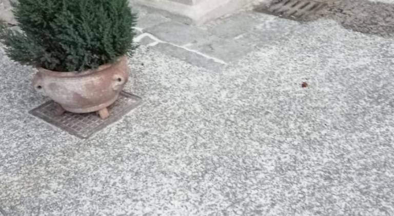 foto5