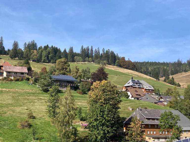foto18
