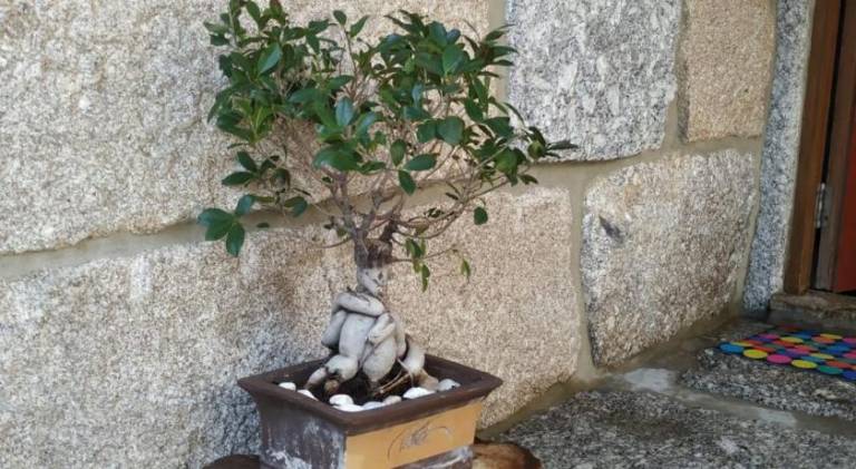 foto17