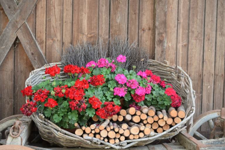 Messner Hof: Appartamento Mansarda Messner Hof — photo 3