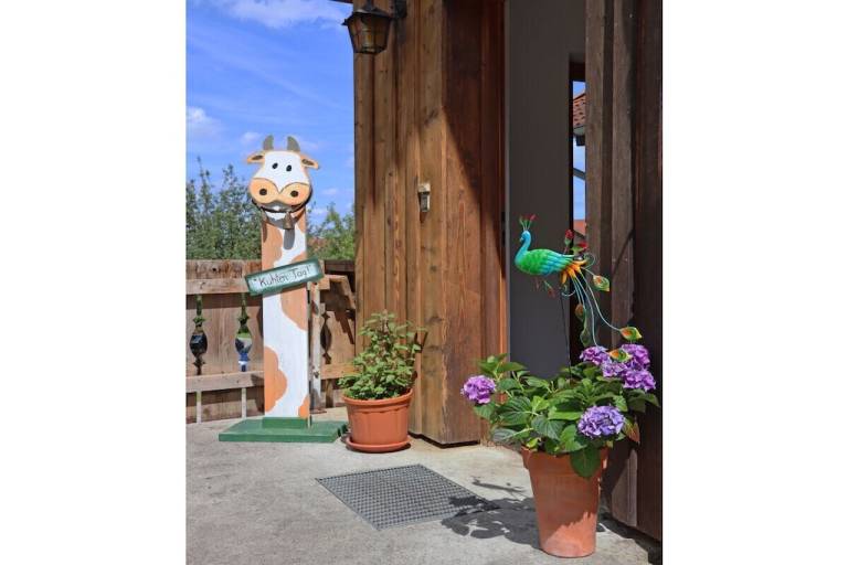 foto6
