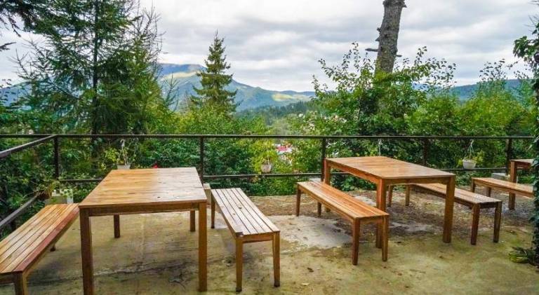Pensiune turistica Milcov-VLADET — photo 3