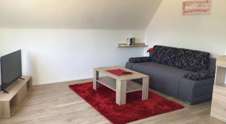 Holiday apartment | Dogs allowed in Giessen