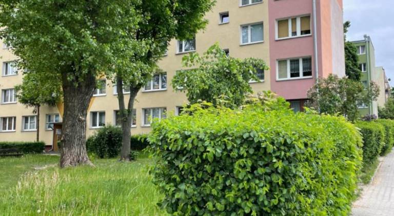 Holiday apartment with 1 room for 6 persons — photo 2