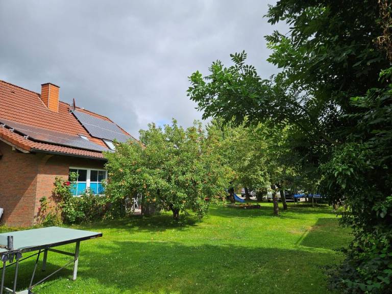 foto19