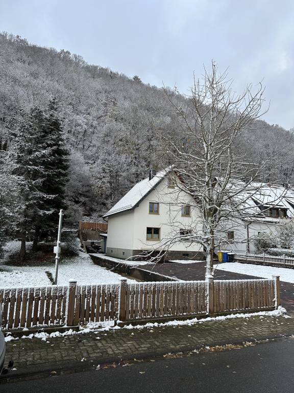 foto15