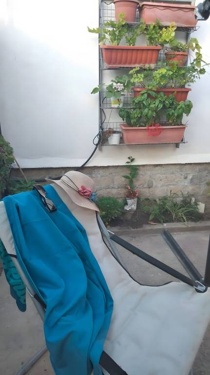 foto8