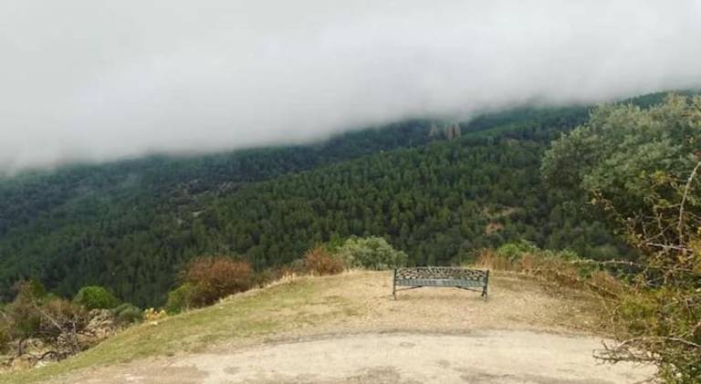 foto41