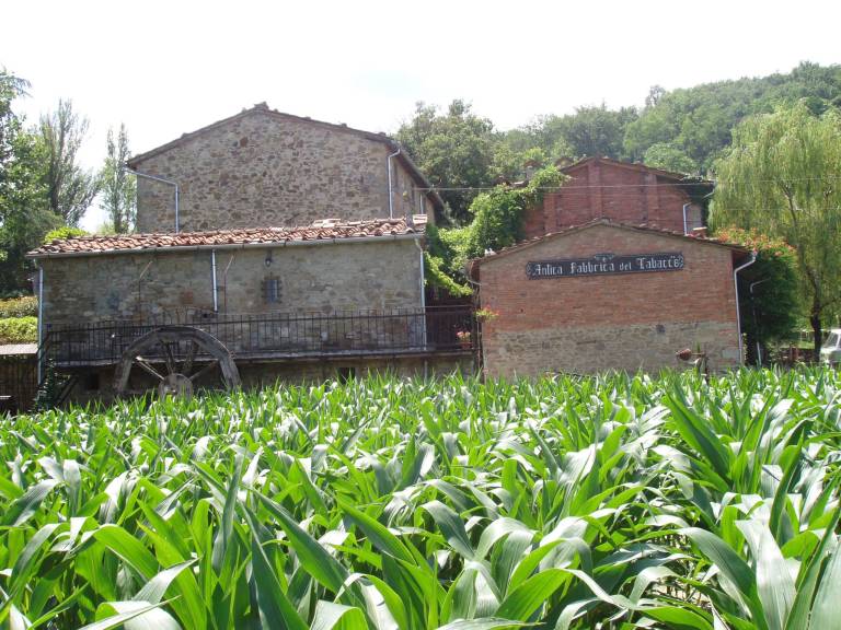 foto11