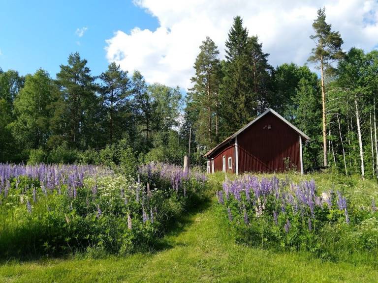 Hus Skålviken