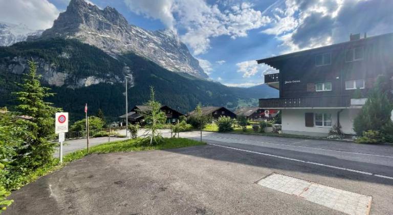 Pleasant holiday apartment | Next to the ski | Dogs allowed in Interlaken