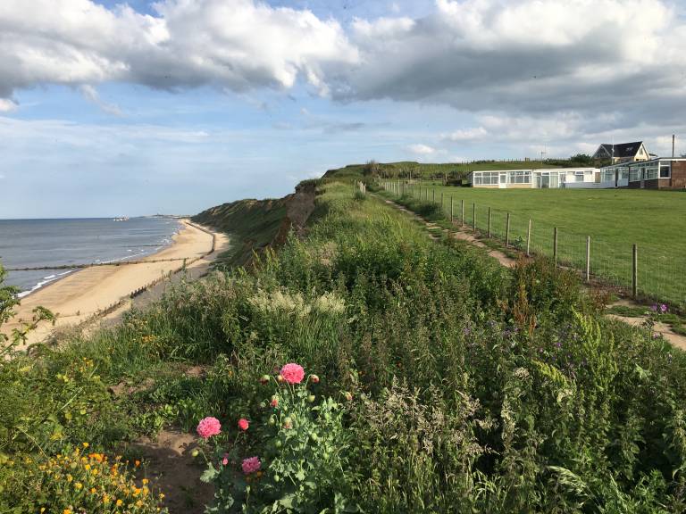 Chalet Bacton