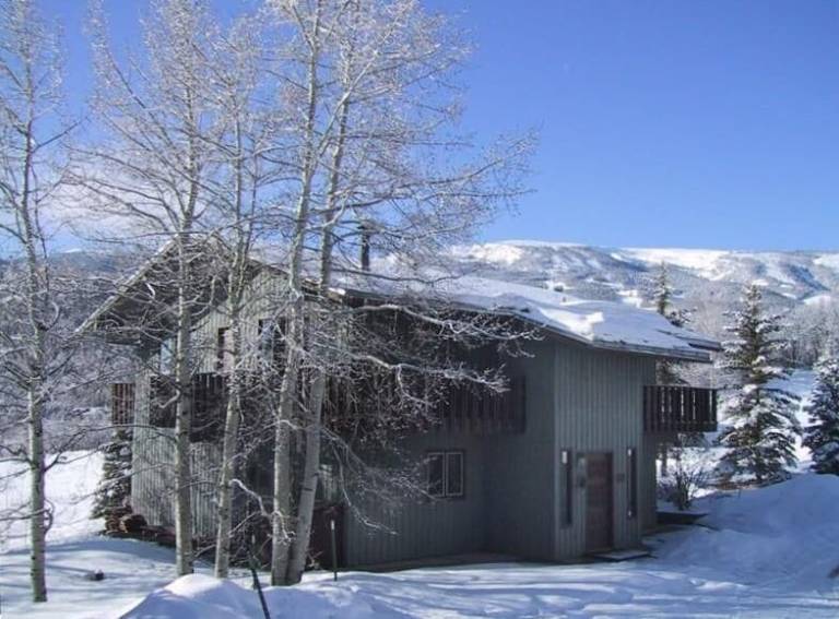 Chalet  Snowmass Village