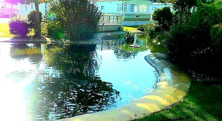 Wonderful house with pool | Pets are welcome — photo 5