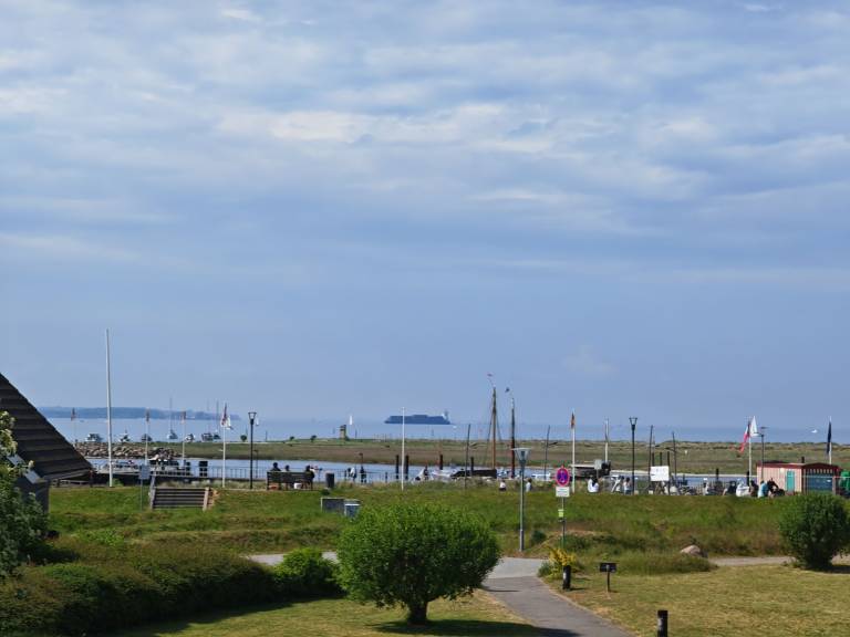 foto16