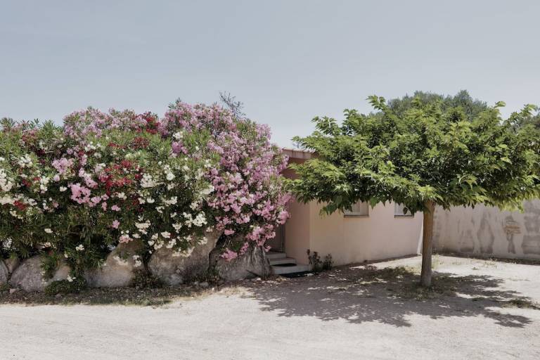 Villa Figari