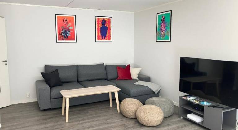 Holiday apartment | Next to Storting building | Pets allowed in Oslo