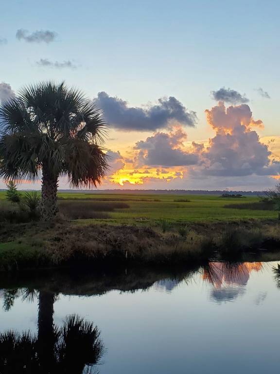 Condo  Sea Island