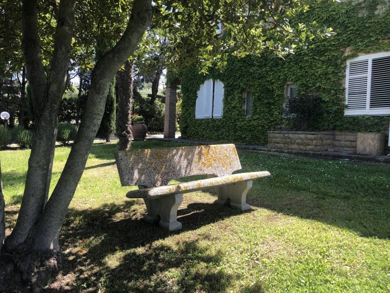 foto19