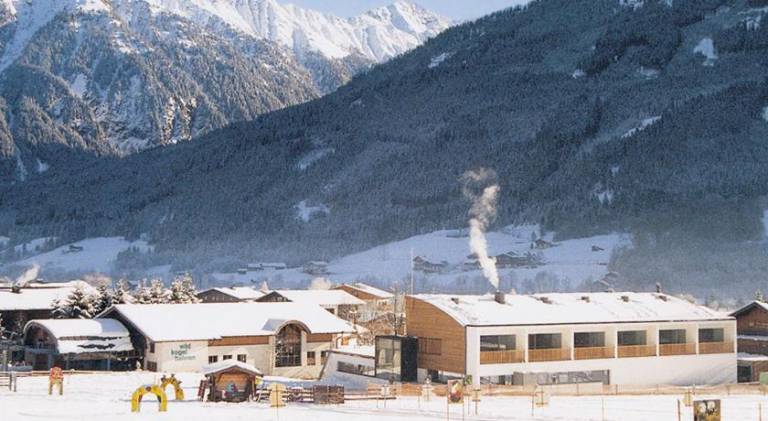 Lovely apartment with pool | Next to the ski | Pets are welcome in Neukirchen am Grossvenediger