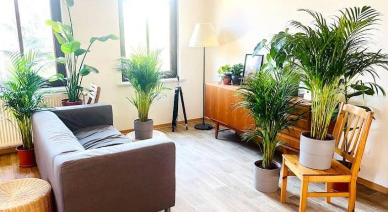 Lovely rental apartment | Pet-friendly — photo 4