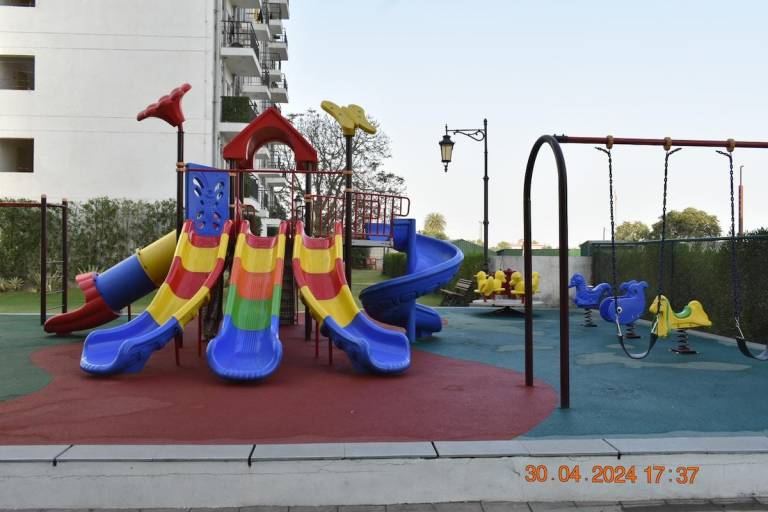 foto8