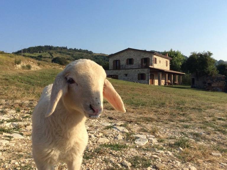 Camera privata San Leo