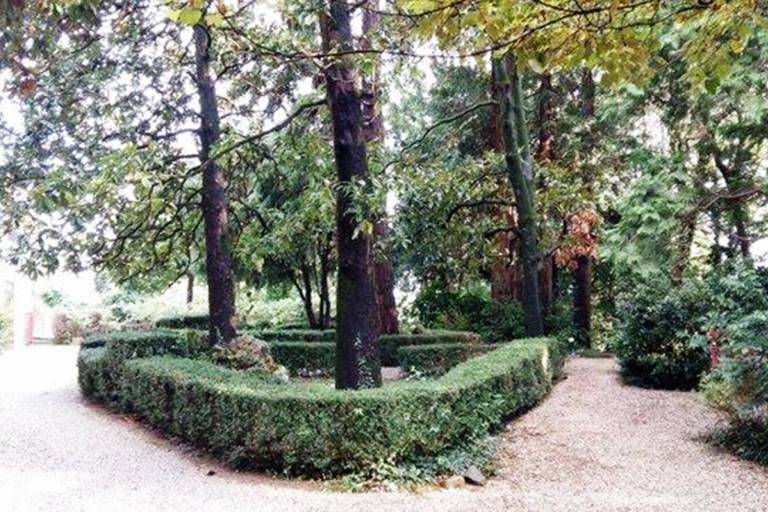 foto19