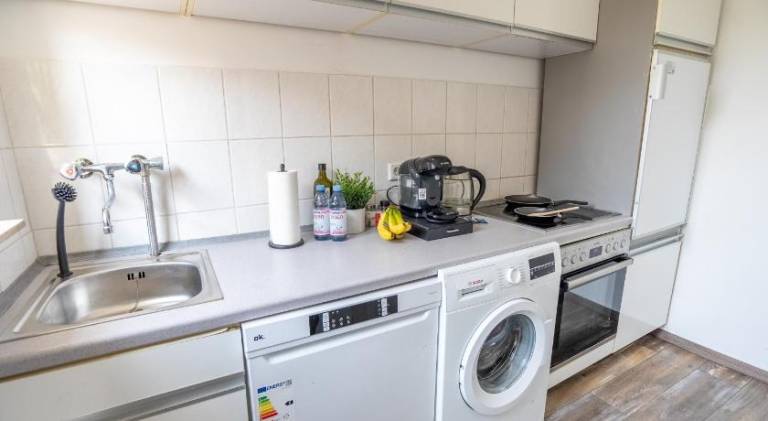 Spacious rental apartment | Pets are welcome — photo 5
