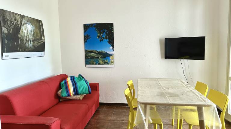 Family-oriented holiday apartment with yard | Pets allowed — photo 4