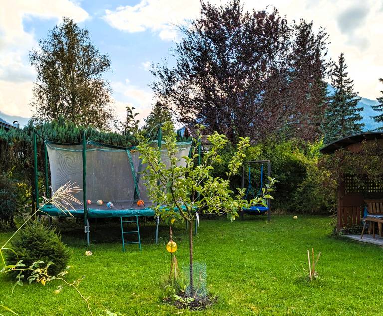 foto13