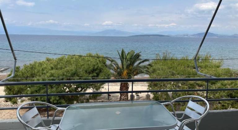 Nice serviced apartment with patio & garden | Beach nearby | Pets allowed — photo 2
