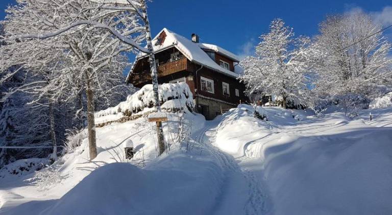 Beautiful rental apartment | Pets allowed in Schluchsee