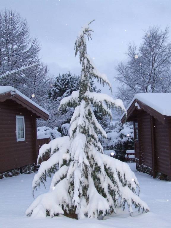 Cabin Trawsfynydd