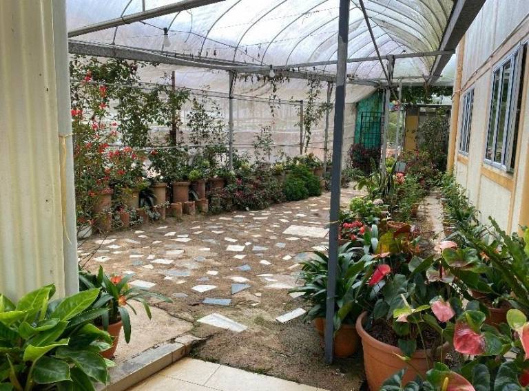 foto47