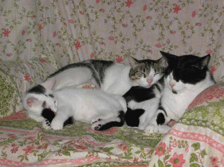 foto31