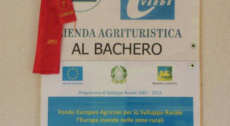 foto30