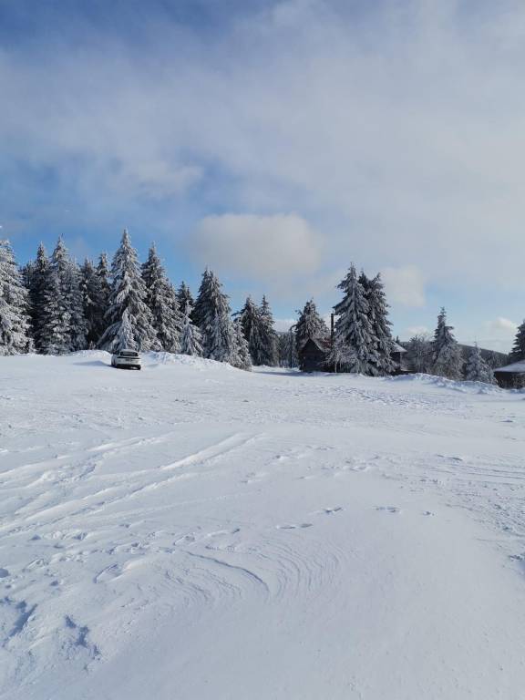 foto40