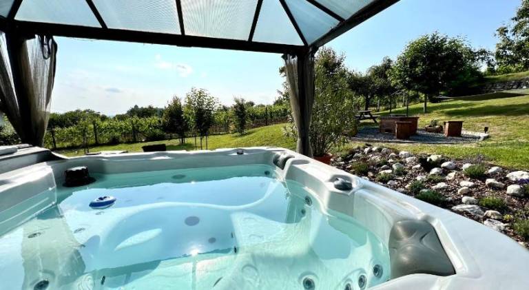 Charming vacation home with yard, private pool & jacuzzi | Perfect for remote work | Pets are welcome — photo 4