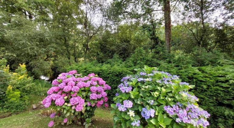 foto19