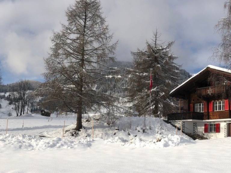 Steiger-Nellen Buretsch, (Segnas/Disentis). — photo 4