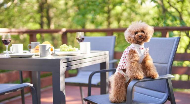 Charming vacation home | Pets are welcome in Nasu