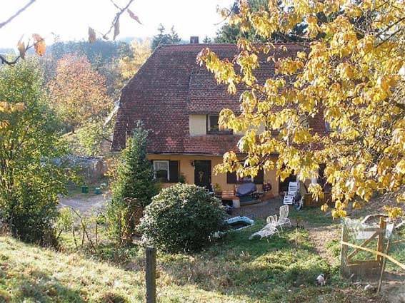 foto25