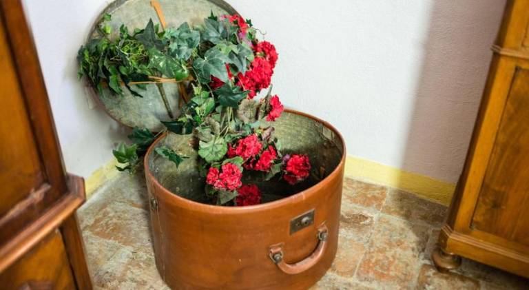 foto42