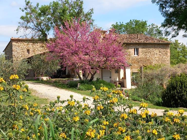 Privatzimmer Casole d'Elsa