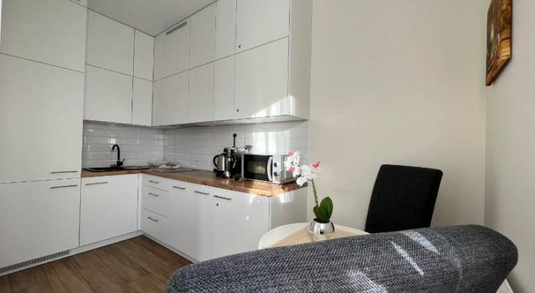 Apartment with 1 room for 4 persons — photo 4